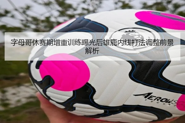 字母哥休赛期增重训练曝光后雄鹿内线打法调整前景解析